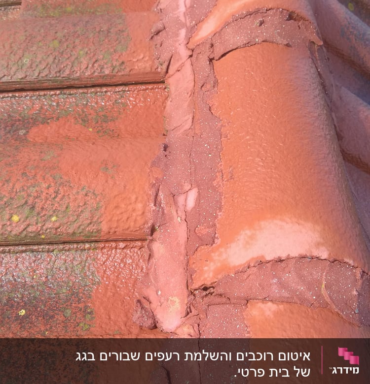 רעפים אדומים עם טחב ירוק על הגג